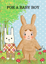 baby boy rabbit